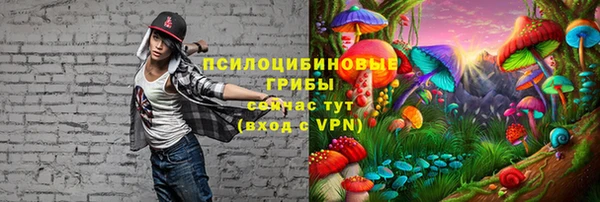 дживик Белоозёрский